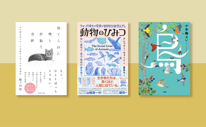 BOOK REVIEW メインビジュアル