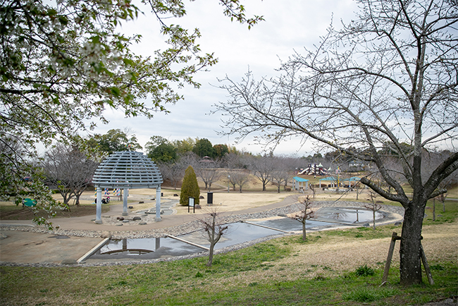 福岡堰さくら公園 ご当地情報 三菱マテリアル