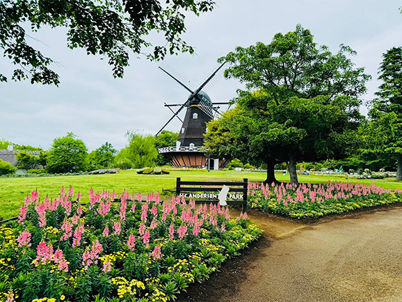 ふなばしアンデルセン公園 ご当地情報 ローソン