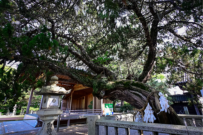 高砂神社 ご当地情報 三菱重工高砂製作所
