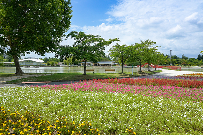 開成山公園 ご当地情報 AGC