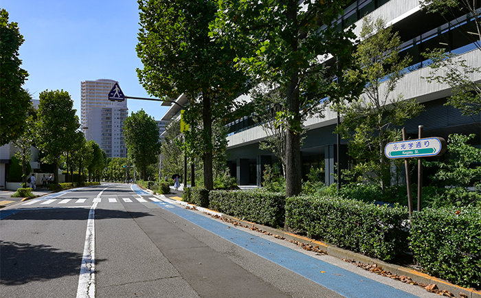 ご当地情報 過去記事メインビジュアル マンスリーみつびし