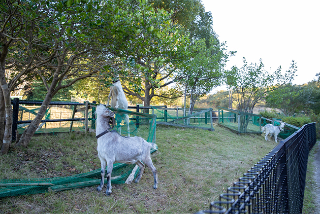 南部丘陵公園 ご当地情報 三菱ガス化学