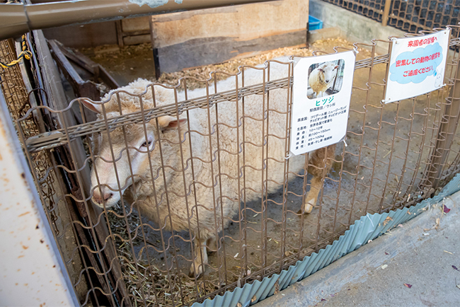 南部丘陵公園 ご当地情報 三菱ガス化学