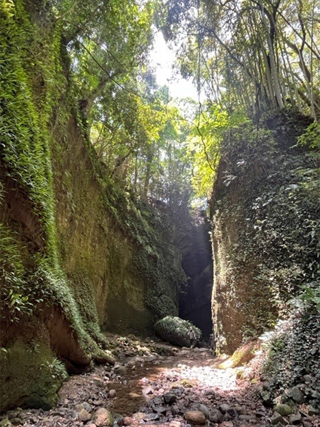 ジブリを思わせる様な神秘的な光景