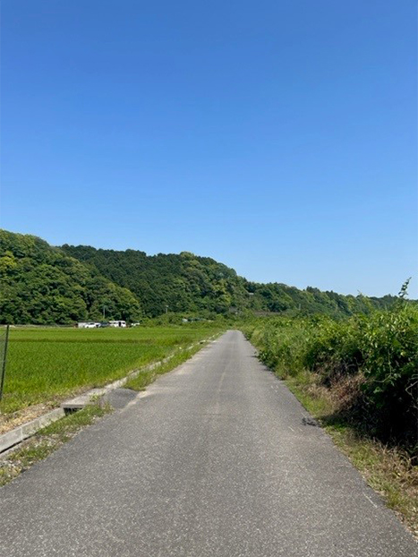 「岩崎開き」へ向かう安芸市の長閑な道