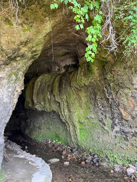 海に堆積された約300万年前の地層が隆起し、波によって削られてできた“海食洞”